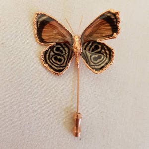 Könnte beinhalten: Eine goldfarbene Schmetterlingsnadel mit schwarzen und weißen Markierungen auf den Flügeln. Die Nadel ist an einer langen, dünnen, goldfarbenen Nadel befestigt.