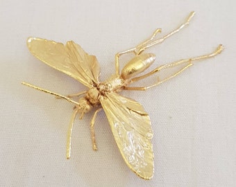 Echtes Insekt vergoldet, Brosche oder Ohrstecker, genuine insect gold plated, brooch or earpin