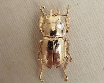 Echter Käfer vergoldet, Brosche, genuine bug gold plated, brooch