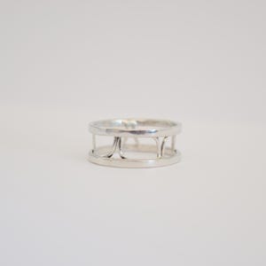 Silver ring