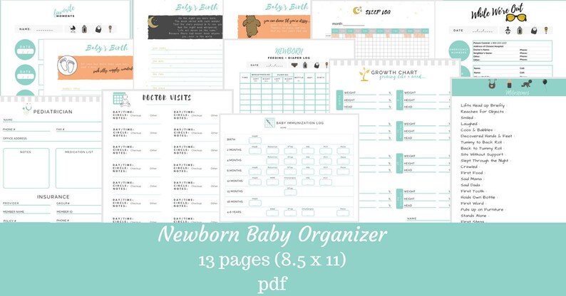 May include: A printable newborn baby organizer with 13 pages, measuring 8.5 by 11 inches. The organizer includes sections for tracking doctor visits, growth, feeding, and milestones.