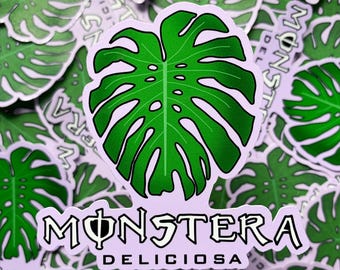 Op de afbeelding: Een verzameling stickers met een groen Monstera blad ontwerp. De stickers hebben een witte rand en de woorden "MONSTERA DELICIOSA". De achtergrond is gevuld met vergelijkbare stickers.
