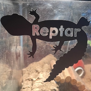 Reptile Vinyl Decals for Leopard Geckos, Uromastyx, Bearded Dragon, Snake tank decor -- CUSTOMIZABLE NAMES AVAILABLE