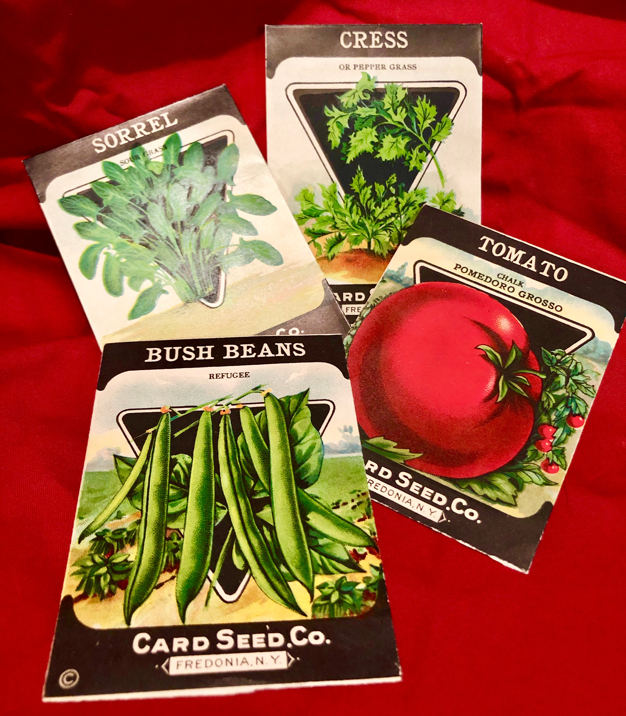 Vintage Paper Vegetable Seed Packets,Card Seed Co, Fredonia, NY, Set of