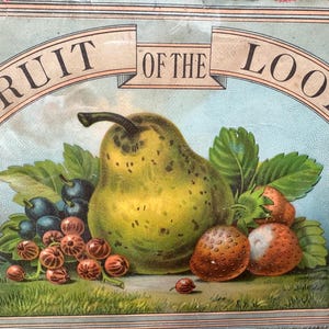 Anúncio original de papel vintage Fruit of the Loom em moldura de madeira vintage, direitos autorais protegidos por BB&R Knight