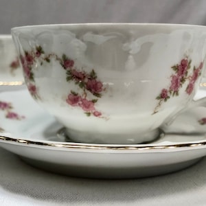 Vintage M&Z Imperial Vienna Austrian China Set of 10 Tea Cups and Saucers with Rose Floral Pattern, No 680