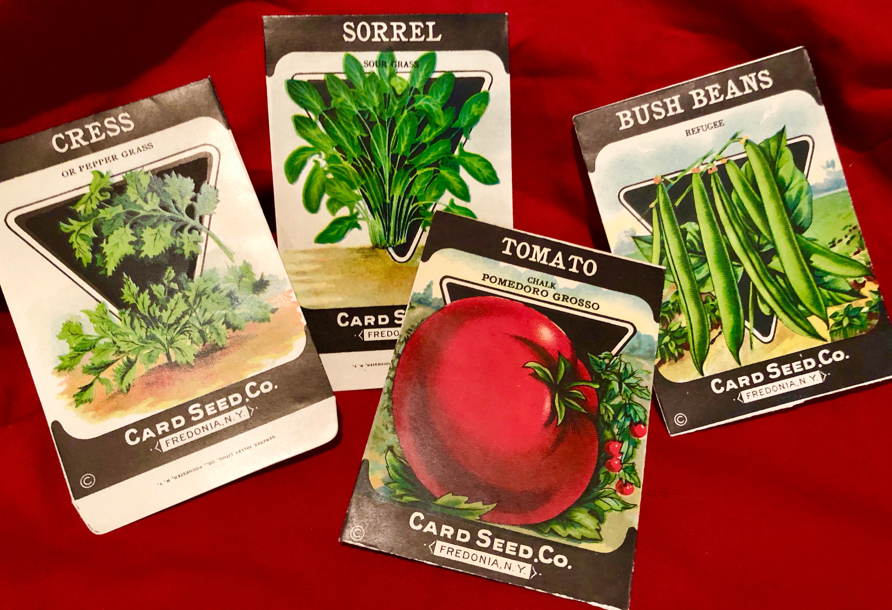 Vintage Paper Vegetable Seed Packets,Card Seed Co, Fredonia, NY, Set of Four
