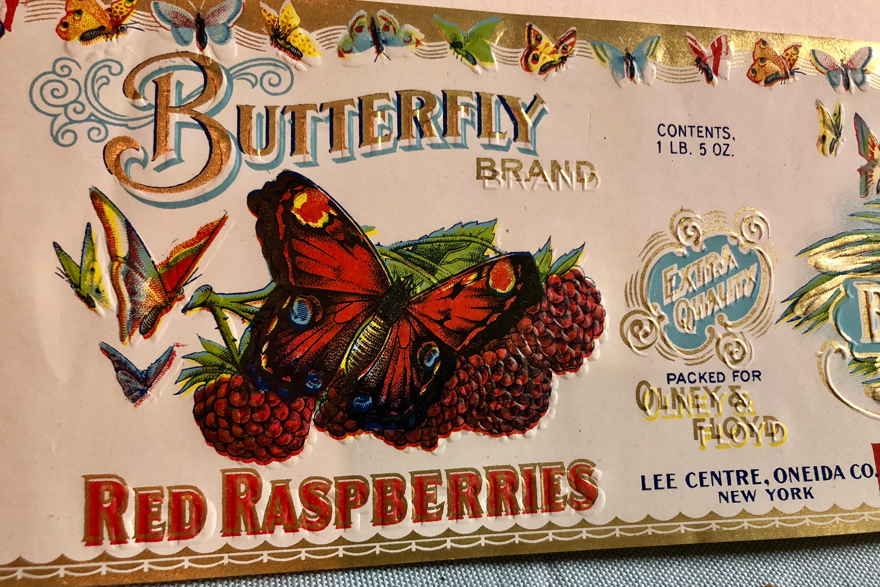Original Vintage Butterfly Brand Canning Labels by Olney & Floyd Set
