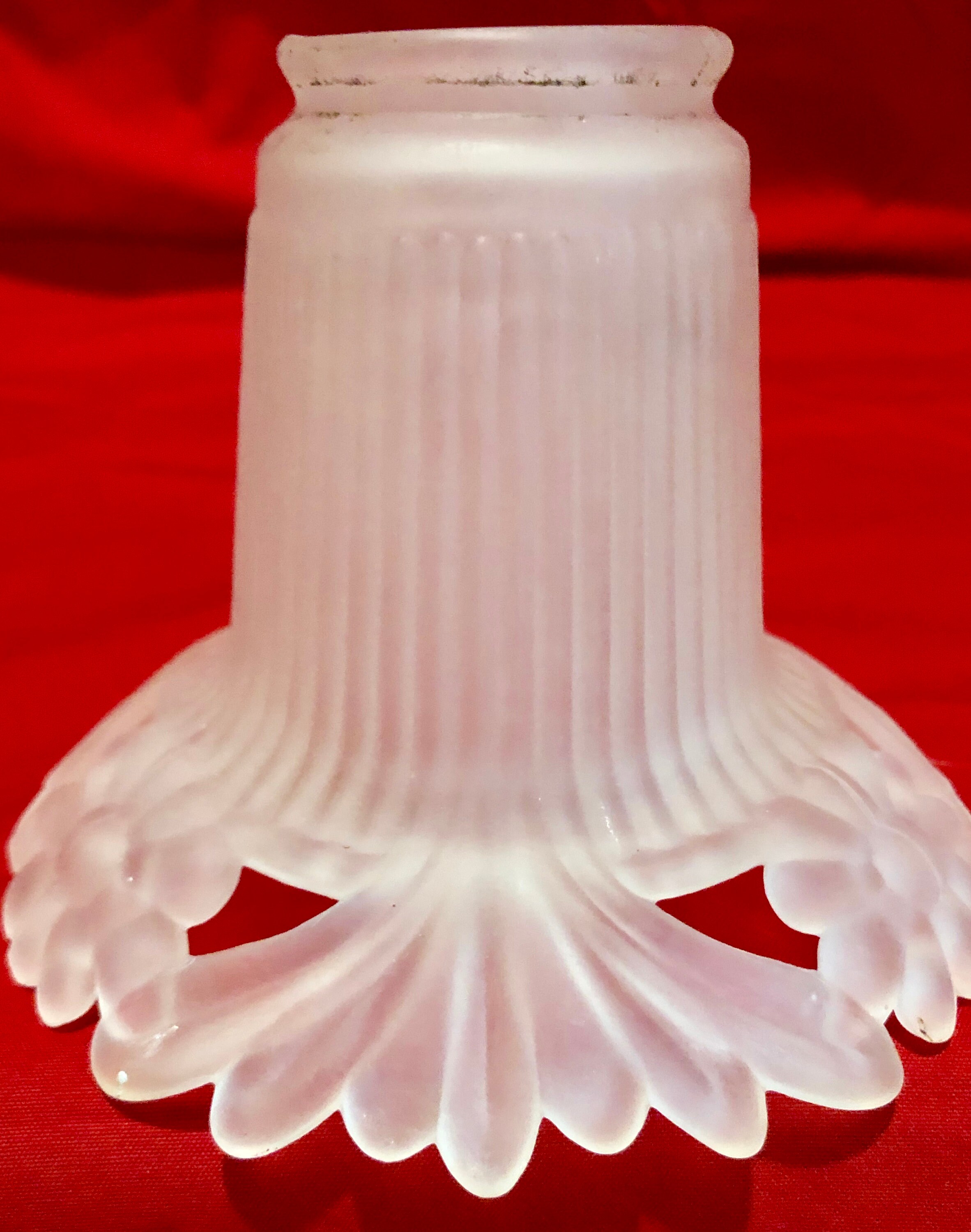 Vintage Frosted Glass Lamp Shade Frosted Floral and Leaf Pattern