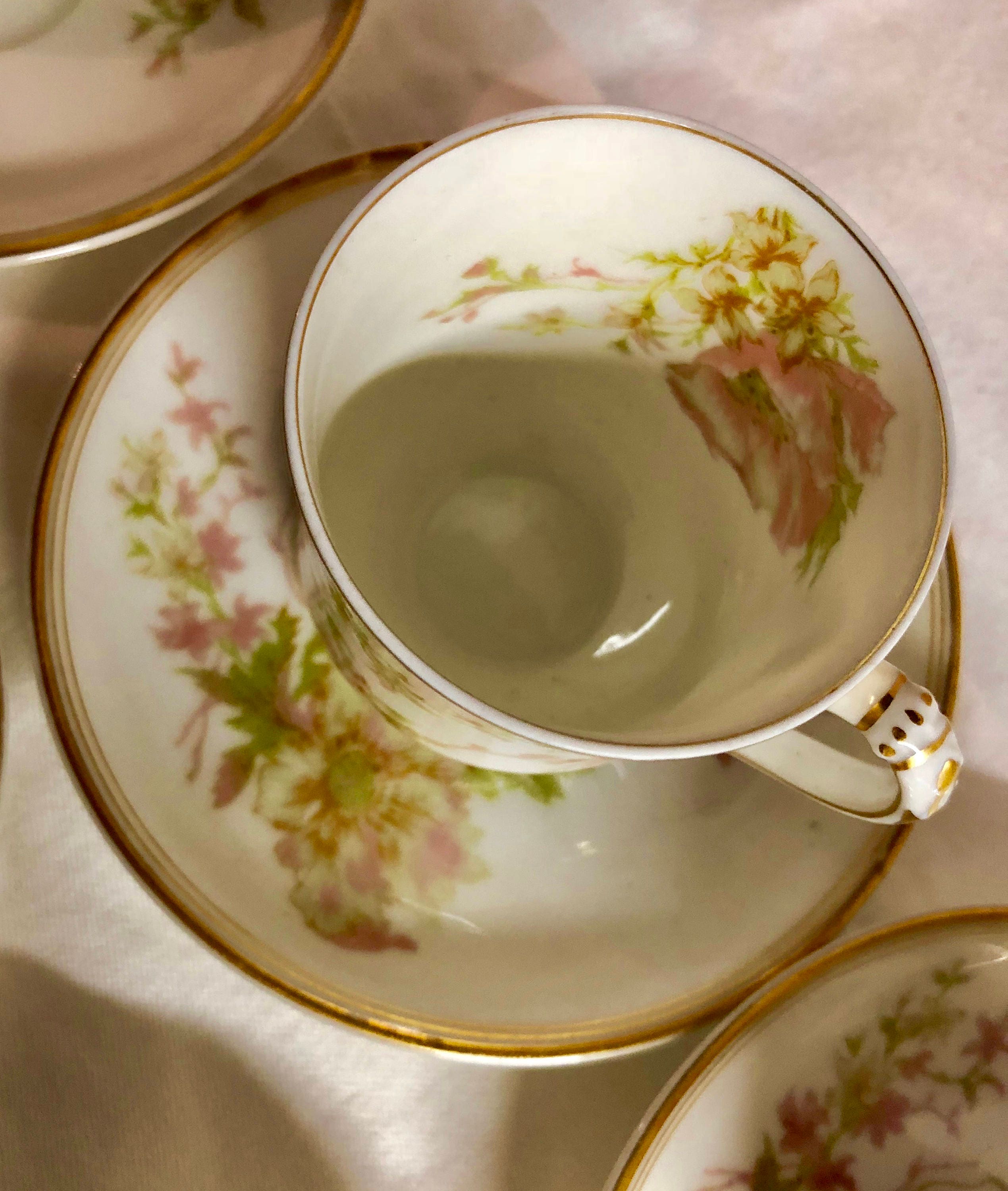 Limoge Antique Springtime Tea Set Haviland & Co