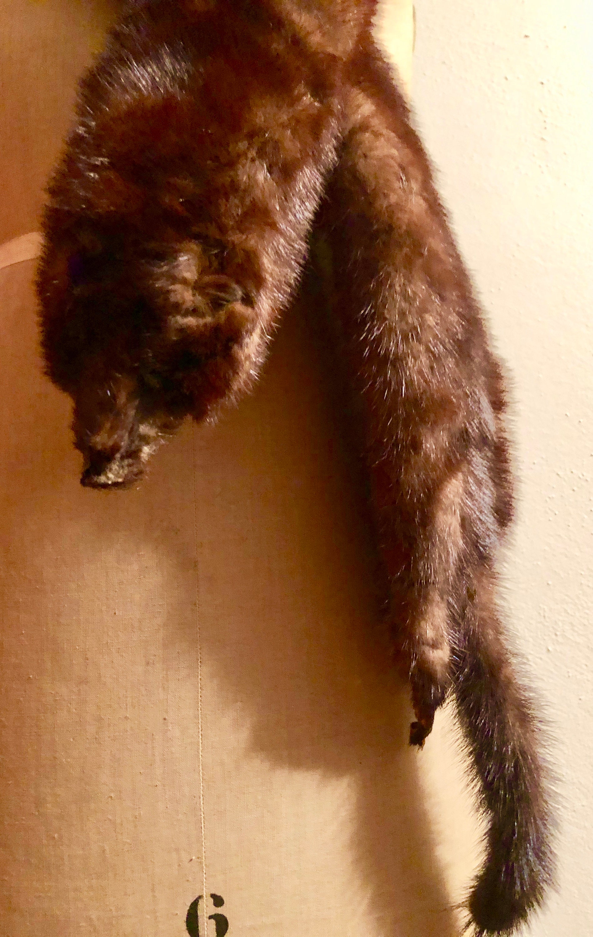 Vintage 4 Pelt Mink Stole/Wrap