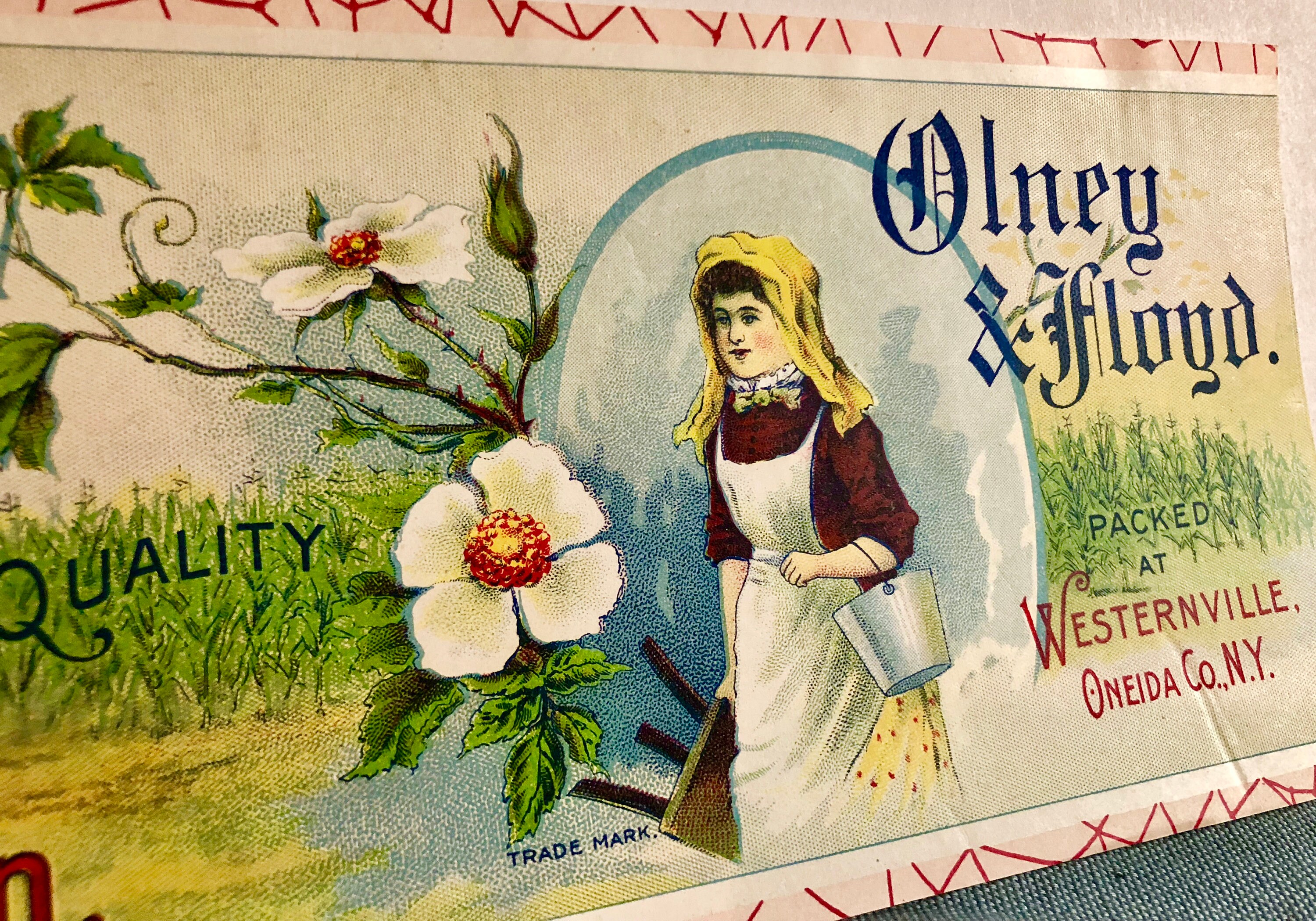 Original Vintage Butterfly Brand Canning Labels by Olney & Floyd Set