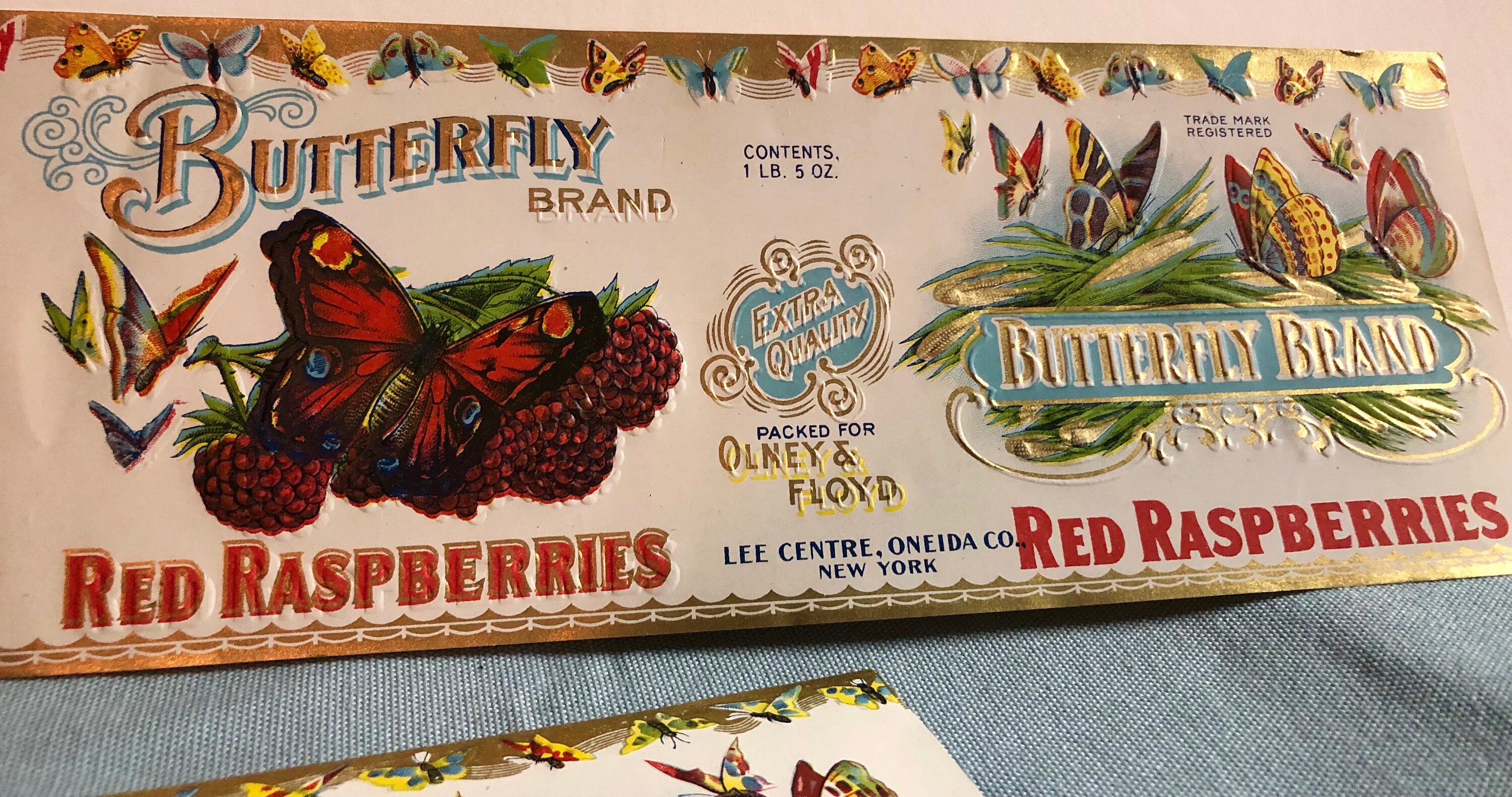 Original Vintage Butterfly Brand Canning Labels by Olney & Floyd Set