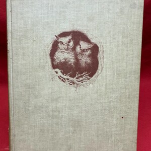 Puede incluir: Un libro antiguo con una cubierta verde claro. La cubierta presenta una ilustración marrón de dos búhos anidados en un hueco de árbol. El libro tiene forma rectangular y parece ser una edición antigua.