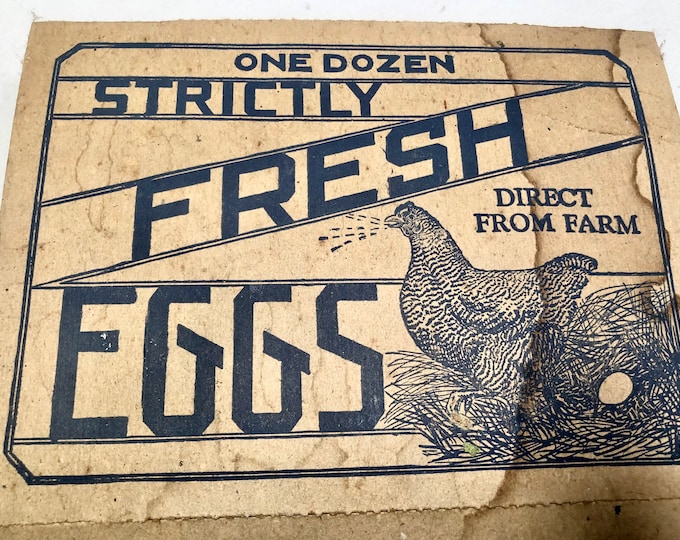 Vintage 1 Dozen Farm Fresh Egg Cardboard Storage Container