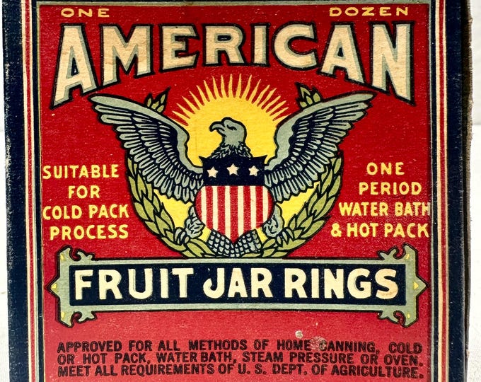 Vintage American Fruit Jar Canning Jar Rings-Set of 12