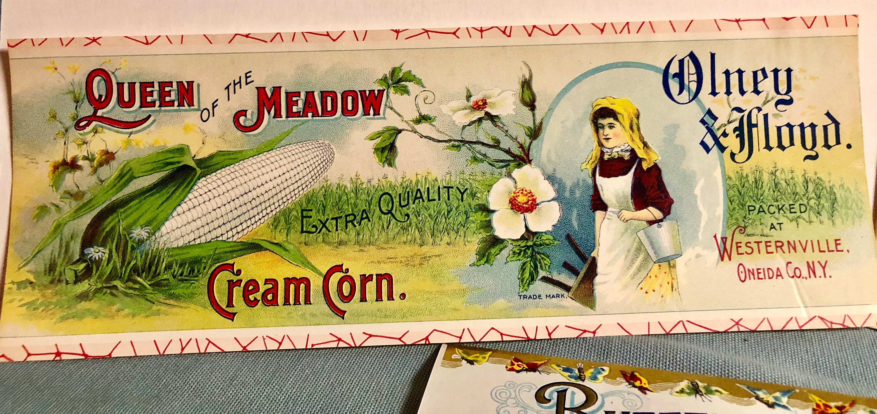 Original Vintage Butterfly Brand Canning Labels by Olney & Floyd Set