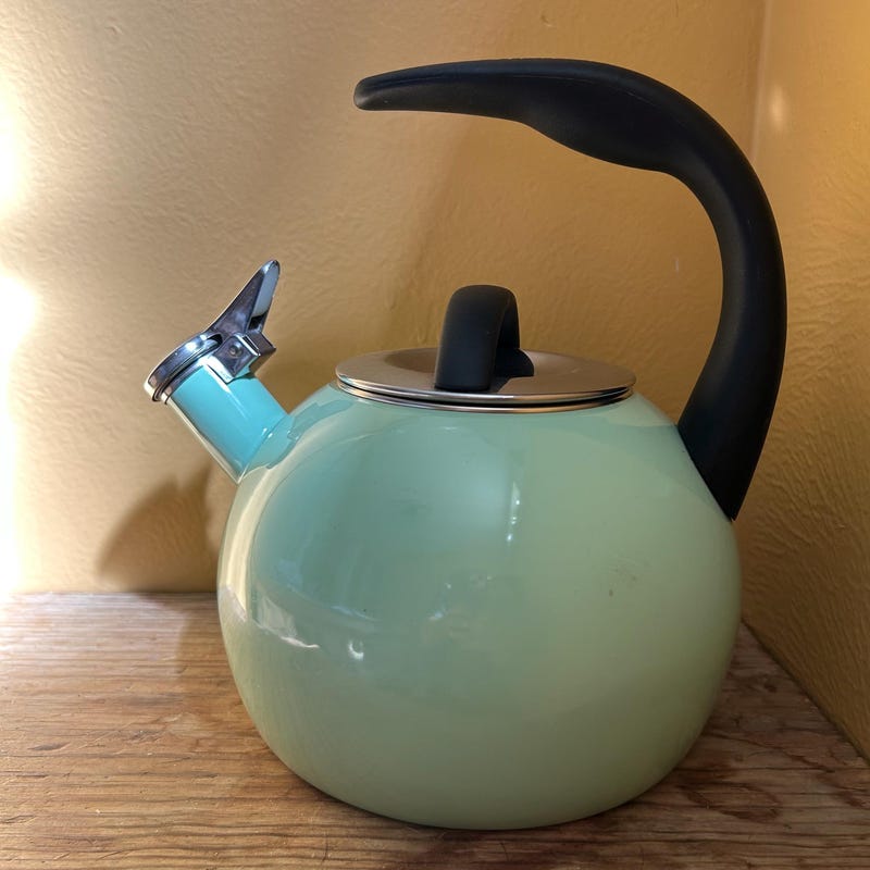 Pink Spring Tea Kettle Enamel Whistling Teapot - Etsy