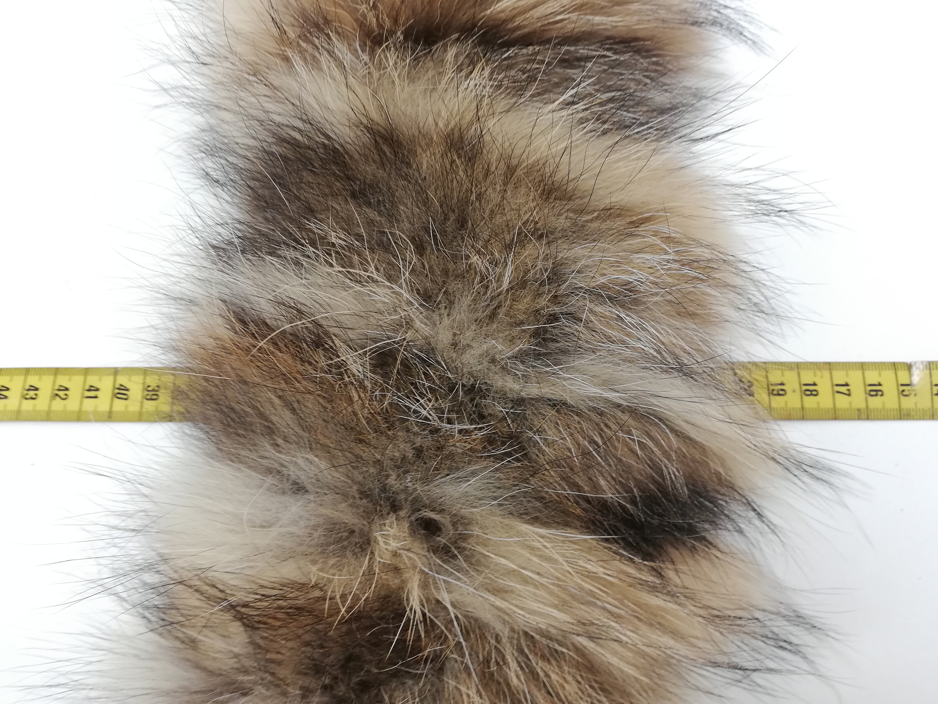 Real Raccoon Fur Trim Hood Furry Stripe for Jacket -  Canada