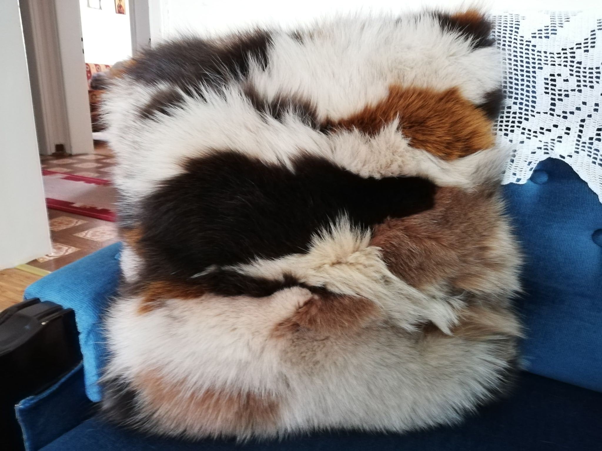 Real fox fur pillow multicolor fox fur cover pillow case fox cushion real fur bedding genuine fur home decoration interior fur design