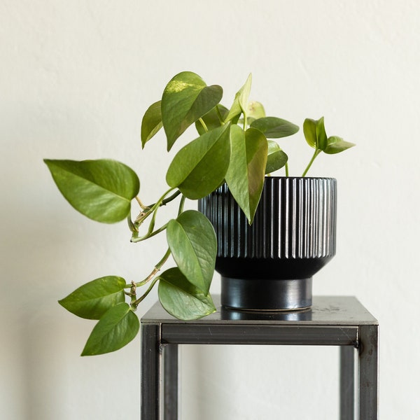 Plantenbak voor binnen | Kleine keramische pot | Kleine moderne plantenbak | Kamerplantenstandaard van Live Minimalist