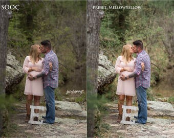 LHP Portrait Presets Vol. 1