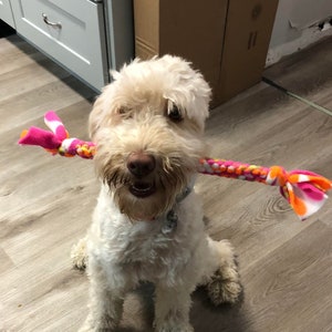Multi-Colors Dog Toy