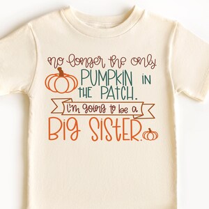 May include: A cream-colored short-sleeve t-shirt featuring the text "no longer the only PUMPKIN in the PATCH. i'm going to be a BIG SISTER." in brown, teal, and orange, accompanied by two orange pumpkin illustrations and a banner graphic.