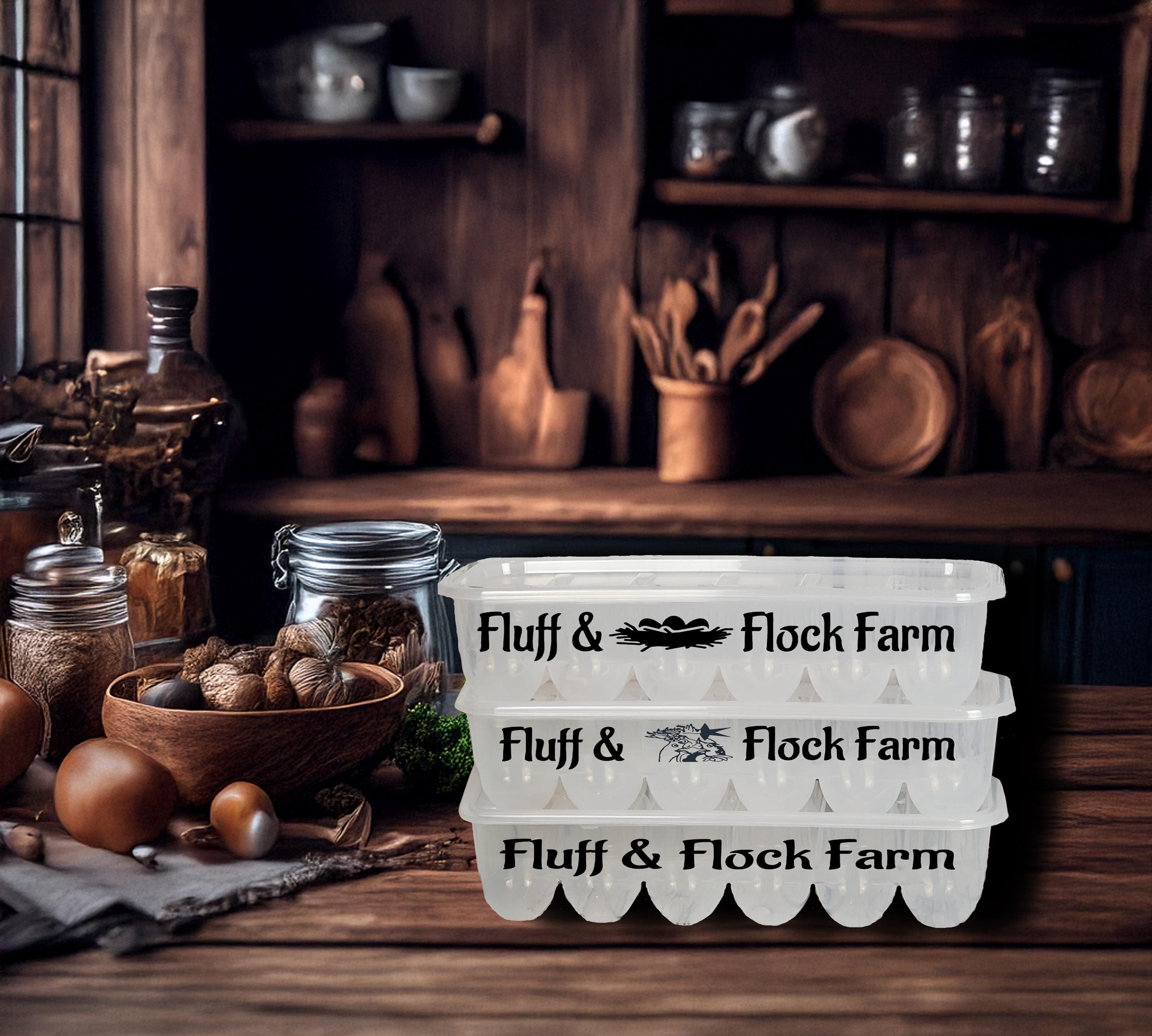 Kitchen Decor Storage Egg Carton Box Plastic Storage for Eggs with Lid Stackable Transparent 12 Egg Carton