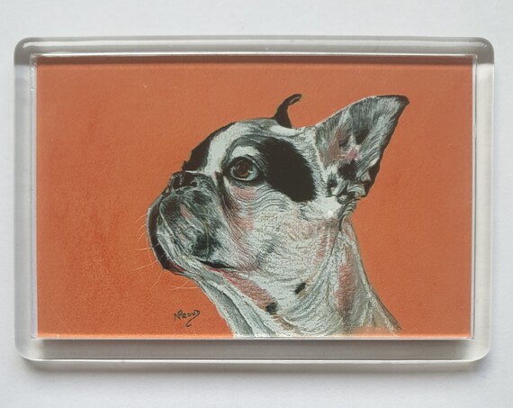 French Bulldog White - Fridge magnet - 52 x 76 x 5mm
