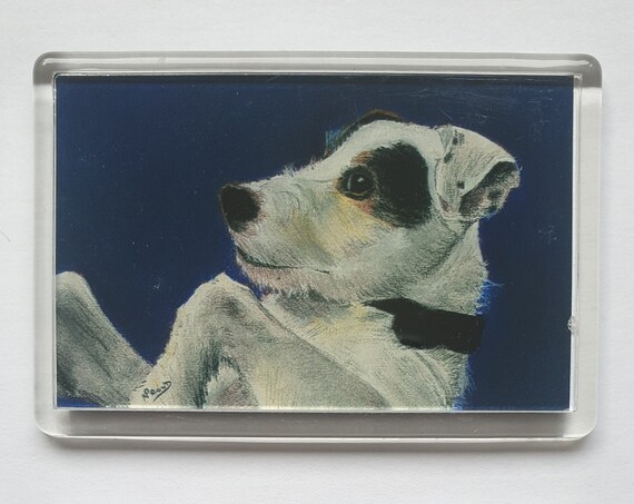 Parsons Jack Russell Terrier - Fridge magnet - 52 x 76 x 5mm