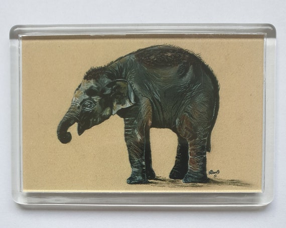 Elephant - Fridge magnet - 52 x 76 x 5mm