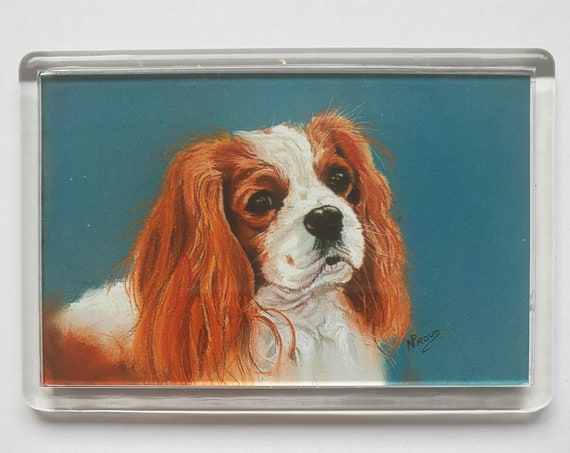 Cavalier King Charles Spaniel Brown - Fridge magnet - 52 x 76 x 5mm