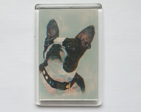 French Bulldog - Fridge magnet - 76 x 52 x 5mm