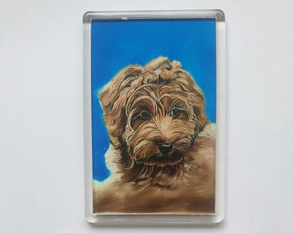 Labradoodle - Fridge magnet - 76 x 52 x 5mm
