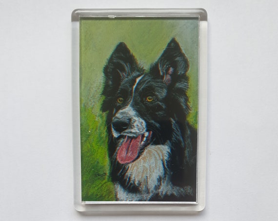 Border Collie - Fridge magnet - 76 x 52 x 5mm