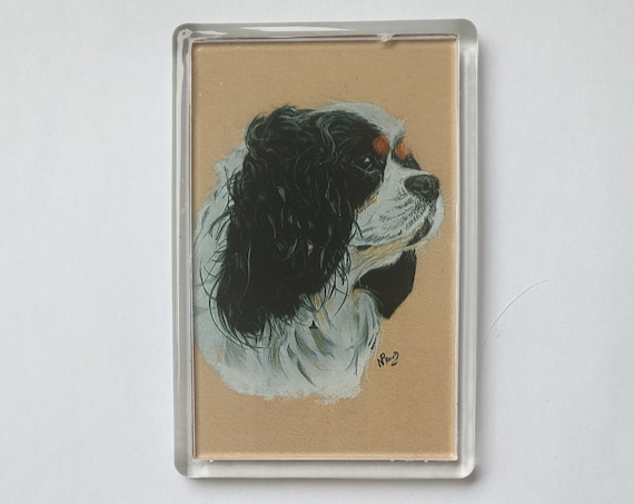 Cavalier King Charles Spaniel - Fridge magnet - 76 x 52 x 5mm
