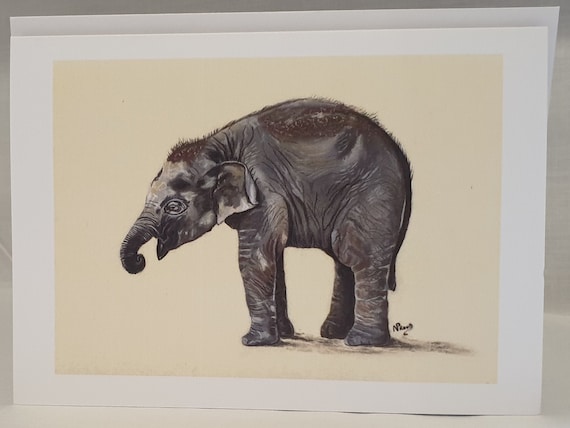 Elephant - colour pastel blank greeting card - 126 x 177mm