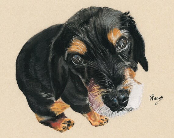 Bespoke Pastel Portrait of Your Dog
