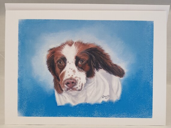 Springer Spaniel - colour pastel blank greeting card - 126 x 177mm