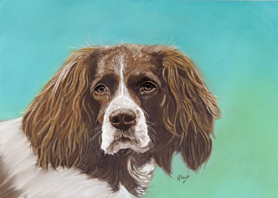 Bespoke Pastel Pet Portrait