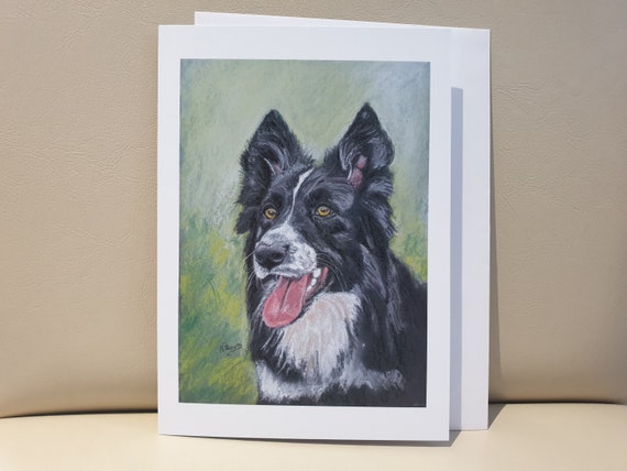 Border Collie - colour pastel blank greeting card - 177 x 126mm