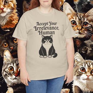 Camiseta divertida para amantes de los gatos. Acepta tu irrelevancia. Humor sarcástico para mascotas. Regalo unisex para dueños de gatos. Camiseta con actitud felina. Camiseta unisex divertida.