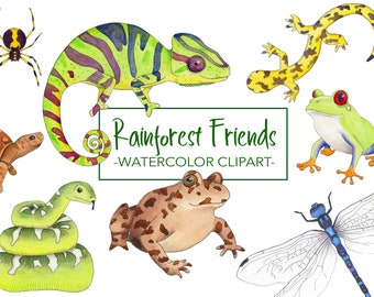 Watercolor Clipart - Animal Clipart - Watercolor Animal Clip Art - Tropical Watercolor Clipart - Cute Animal Clipart - Rainforest Clipart