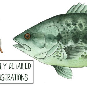 May include: A watercolor illustration of a green fish with a hook and worm in its mouth. The fish has a spotted pattern and is swimming to the right. The hook and worm are brown and are hanging from a line above the fish.