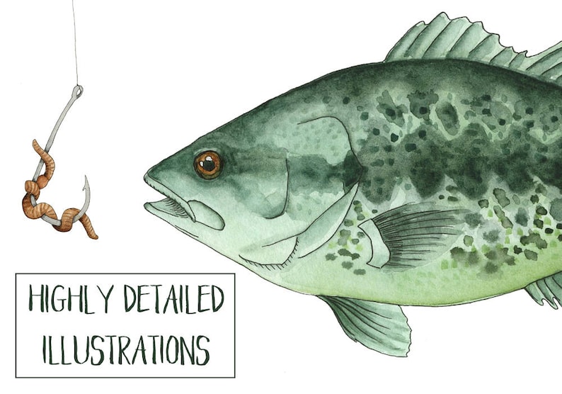 May include: A watercolor illustration of a green fish with a hook and worm in its mouth. The fish has a spotted pattern and is swimming to the right. The hook and worm are brown and are hanging from a line above the fish.