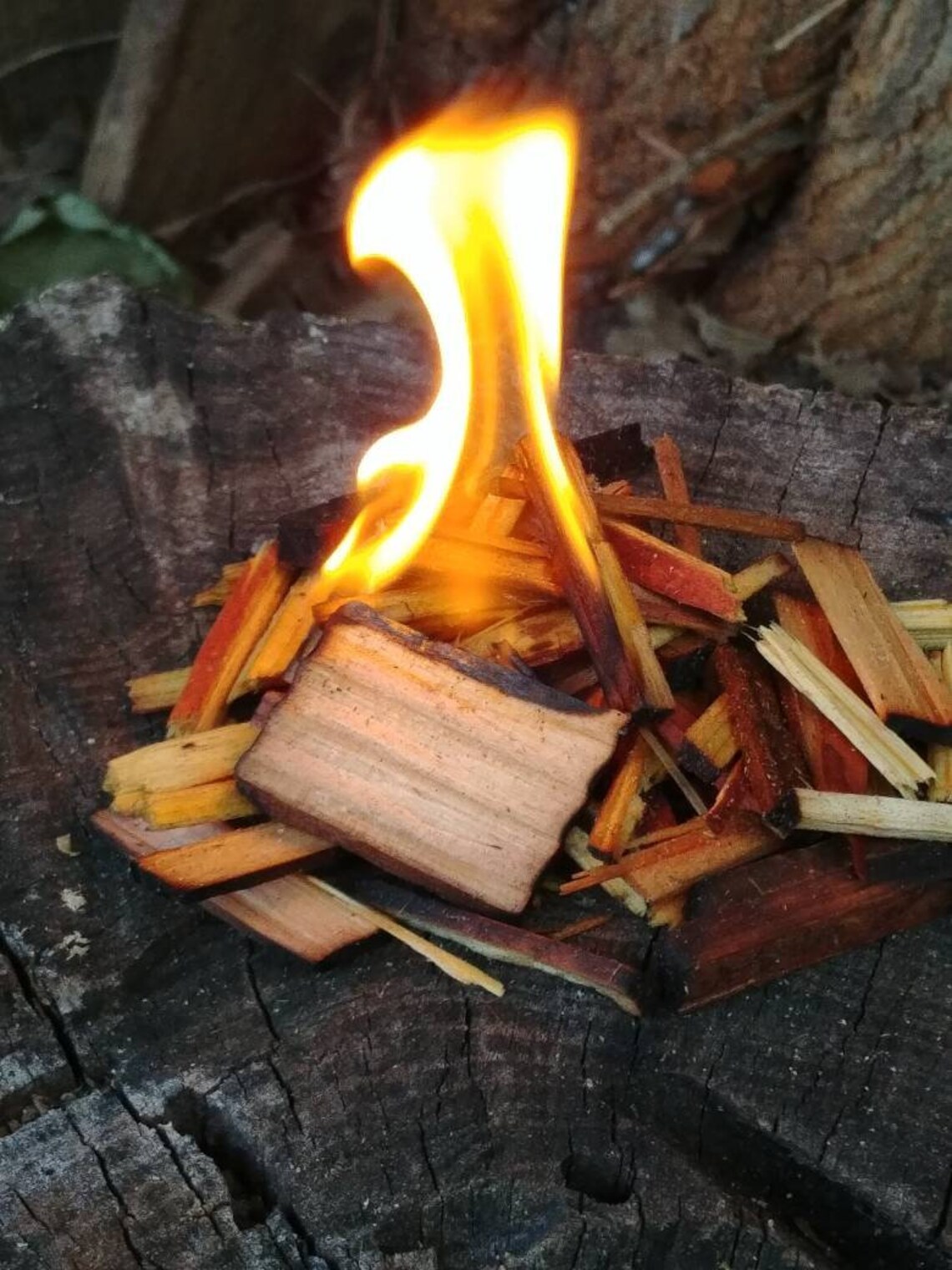 Survival Fire Starter Wood Tinder Blend has Chunks and Light Etsy