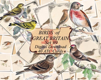 9 Vintage Birds TAGS printable digital download