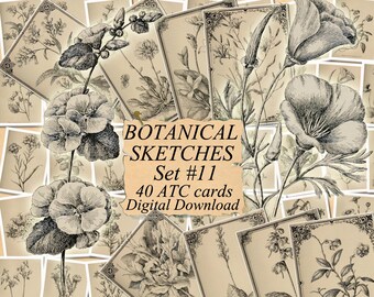 BOTANICAL SKETCHES Set #1 digital collage sheet 40 ATC cards Printable Instant Download Image Digital Cards Tags vintage image journals