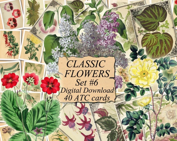 Download Flowers Spring Vibes Instant Digital Download Png For Sublimation Clip Art Vintage Truck 300 Dpi Printable Art Collectibles Digital Aabenthus Cbs Dk